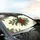 Red Holly Berries Deep Green Spiky Leaves Brown Stems - Christmas Holiday Decor Gift Car Sunshade - 6