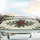 Red Holly Berries Deep Green Spiky Leaves Brown Stems - Christmas Holiday Decor Gift Car Sunshade - 5