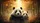 Two Pandas Golden Bamboo Autumn Leaves Forest Canopy - Wildlife Lover Gift Car Sunshade - 7