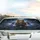 Regal Lion Steering Wheel Night Sky - Driving Passion Gift for Car Enthusiasts Car Sunshade - 5
