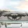Bat Outstretched Wings Stained Glass Gothic Filigree - Dark Fantasy Car Decor Gift Car Sunshade - 5