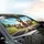 Miniature Schnauzer Dogs Open Road Journey - Dog Lover Car Travel Gift Car Sunshade - 6