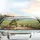 Happy Green Turtle Snail Wildflowers Country Road - Auto Decor Gift Car Sunshade - 5