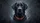 Majestic Black Labrador Retriever Red Collar - Vehicle Accessory Gift for Pet Owners Car Sunshade - 7
