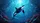 Majestic Orca Whale Luminous Vortex Deep Sea Coral - Ocean Lover Gift Car Sunshade - 7