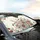 Floral Wildflower Blossom Garden Pink Plum - Garden Lover Car Decor Gift Car Sunshade - 6