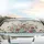 Floral Wildflower Blossom Garden Pink Plum - Garden Lover Car Decor Gift Car Sunshade - 5