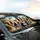 Border Collies Scenic Road Trip Tropical Vista - Dog Lover Travel Adventure Gift Car Sunshade - 6