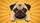 Expressive Pug Face Paws Golden Orange Sunburst Paw Prints Stars - Dog Lover Gift Car Sunshade - 7