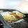 Highland Calf Wildflower Meadow Butterflies - Farmhouse Decor Gift for Cow Lovers Car Sunshade - 6