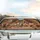 Guinea Pigs Birthday Party Cupcakes - Party Celebration Gift for Pet Lover Car Sunshade - 5