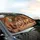 Guinea Pigs Birthday Party Cupcakes - Party Celebration Gift for Pet Lover Car Sunshade - 6