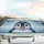 Penguin Face Arctic Snowflakes Ice Shards - Winter Holiday Gift Car Sunshade - 5