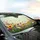 Wildflower Butterfly Meadow Cosmos Coneflower Sunflower Daisy - Nature Lover Gift Car Sunshade - 6