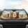 Fluffy Alpaca Sunglasses Jovial Alpaca Group Rolling Hills - Wildlife Lover Gift Car Sunshade - 4
