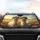 Laughing Alpacas Straw Hat Sunglasses Wildflower Meadow - Nature Lover Gift Car Sunshade - 4