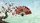 Falling Cherry Petal Tree Japanese Hand Fan - Japanese Car Decor Gift Car Sunshade - 7