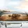 Roaring Lion Iguana Fox Desert Adventure - Wildlife Lover Gift Car Sunshade - 5