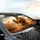 Roaring Lion Iguana Fox Desert Adventure - Wildlife Lover Gift Car Sunshade - 6