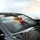 Baby Highland Cow in Bucket Scottish Moorland - Farmhouse Decor Gift for Cow Lover Car Sunshade - 6