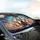 Sphynx Cat Adventure Journey - Cat Lover Travel Essentials Car Sunshade - 6