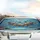 Tropical Fish Angelfish Clownfish Coral Reef - Marine Life Lover Gift Car Sunshade - 5