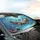 Tropical Fish Angelfish Clownfish Coral Reef - Marine Life Lover Gift Car Sunshade - 6