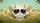 White Cat Aviator Sunglasses Tropical Jungle - Summer Road Trip Cat Lover Car Sunshade - 7