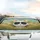 White Cat Aviator Sunglasses Tropical Jungle - Summer Road Trip Cat Lover Car Sunshade - 5