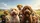 Golden Doodle Labradoodle Family Puppies Road Trip Adventure - Pet Lover Gift Car Sunshade - 7