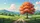 Autumn Tree Dappled Path Countryside Vista - Nature Lover Gift Car Sunshade - 7