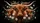 Gentle Highland Cow Wild Daisies Farmhouse Decor Gift for Cow Lover Car Sunshade - 7