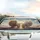 Fluffy Adventurous Cats Wind Blown Fur Open Sky - Cat Lover Gift Car Sunshade - 5