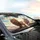 Fluffy Adventurous Cats Wind Blown Fur Open Sky - Cat Lover Gift Car Sunshade - 6
