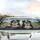 Bernese Mountain Dogs Driving Road Trip Adventure - Travel Enthusiast Gift for Dog Owners Car Sunshade - 5