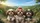 Three Shih Tzu Dogs Countryside Travel Landscape - Dog Lover Gift Car Sunshade - 7