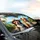 Border Collie Australian Shepherd Dogs Tropical Coastal Road Trip Adventure Car Sunshade - 6