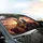 Fox Raccoon Guitar Sunset Road - Music Lover Road Trip Gift Car Sunshade - 6