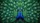Regal Majestic Peacocks Symmetrical Fanned Sapphire Eye Plumage - Wildlife Lover Gift Car Sunshade - 7