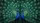 Indian Peacocks Mirrored Iridescent Feathers - Peacock Lover Wildlife Gift Car Sunshade - 7
