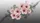 duiyfppz/products/69f1d258211a91a213179b0c/gallery/7oed6NsOa6
