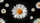 duiyfppz/products/69f1d37aca526d38bfe93acf/gallery/tmvi7Mz_My