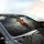 Highland Cow Calf Leopard Bow - Scottish Highlands Wildlife Lover Gift Car Sunshade - 6