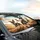 Miniature Schnauzer Dogs Adventure Landscape - Dog Lover Travel Gift Car Sunshade - 6