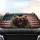 Grizzly Bear Distressed American Flag - Patriotic Wildlife Lover Gift Car Sunshade - 4