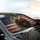 Grizzly Bear Distressed American Flag - Patriotic Wildlife Lover Gift Car Sunshade - 6