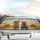 Golden Retrievers Straw Hat Overalls Hay Bales Country Road Trip - Dog Lover Gift Car Sunshade - 5