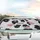 Black Cow Print Pink Hearts Moo Script - Farmhouse Decor Gift for Cow Lover Car Sunshade - 5