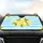Ripe Whole Lemons Lemon Slices Green Leaves White Blossoms Sky Blue Stripes - Fruit Lover Gift Car Sunshade - 4