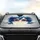 Intense Gaze Blue Eyes Spiky Hair - Animated Feature Character Design Art Gift Car Sunshade - 4
